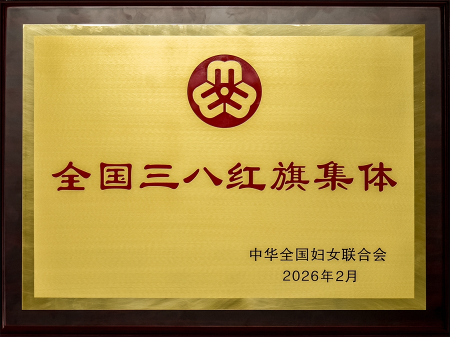 2026年全国三八红旗集体 -小